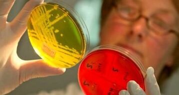 diagnose van parasieten in het lichaam