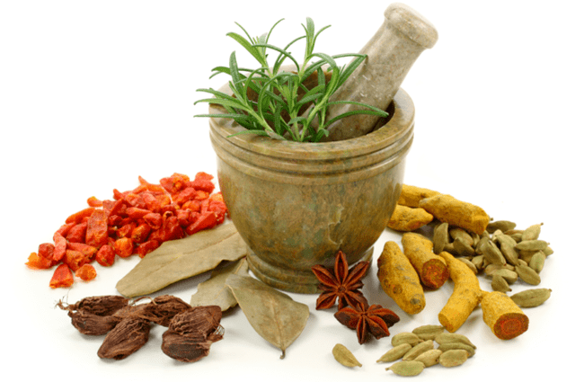 volksremedies voor het verwijderen van parasieten uit het lichaam